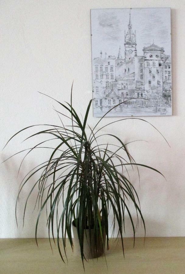 Kousek Do Prirody I Do Centra Apartment ปีเซค ภายนอก รูปภาพ